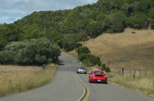 hops--barley-poker-run--rallye_6831511791_o • <a style="font-size:0.8em;" href="http://www.flickr.com/photos/95000936@N06/48596719676/" target="_blank">View on Flickr</a>