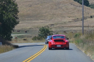 hops--barley-poker-run--rallye_6831518537_o • <a style="font-size:0.8em;" href="http://www.flickr.com/photos/95000936@N06/48596856692/" target="_blank">View on Flickr</a>
