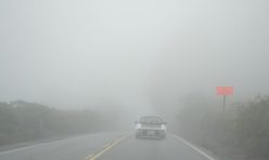 Porsches in the Fog