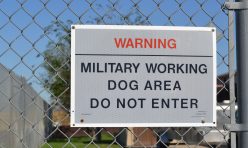 Beware of AFB Dogs sign